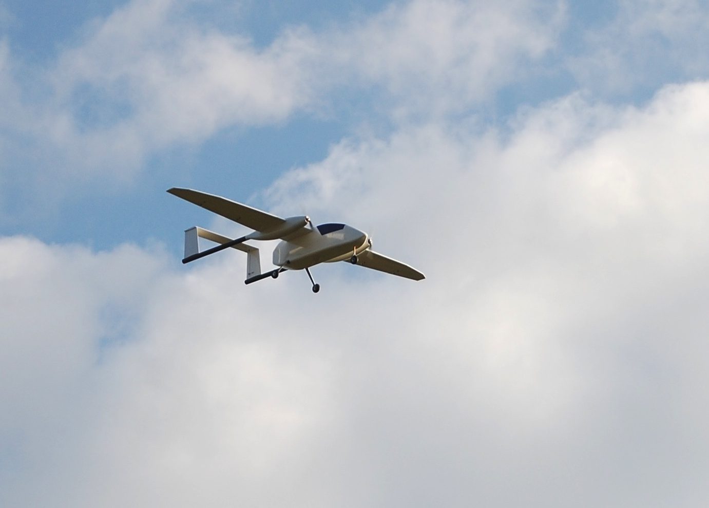 File:Adler flight.jpg