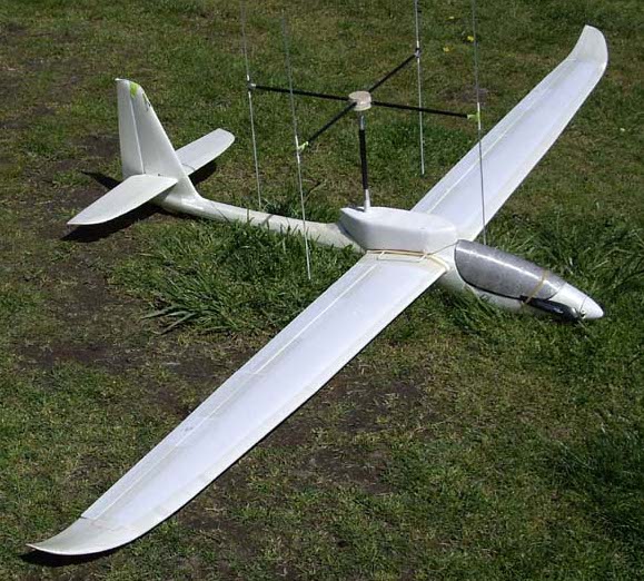 File:Cularis with rdf-pod.jpg