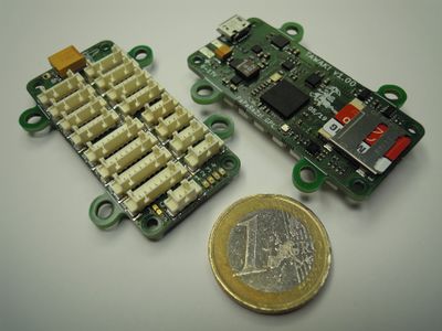 Tawaki v1.00 1€ size comparison
