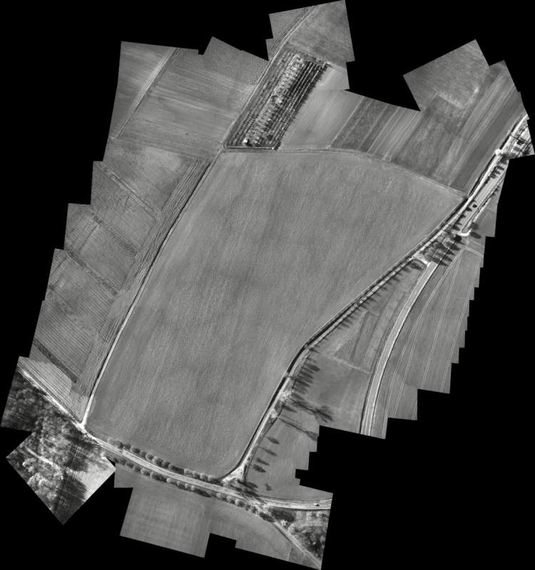 File:Adler mosaic.jpg