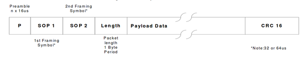 DSM packet example.png
