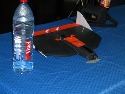 File:Pingwing.jpg