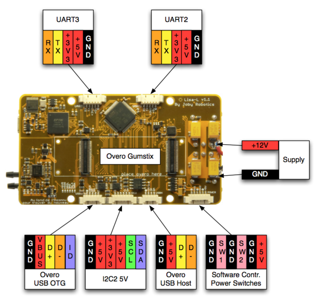 LisaL-V1 1-back-labeled.png